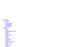 Tablet Screenshot of p53419.typo3server.info